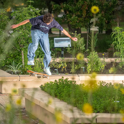 Etnies Mens Sal 23 White Blue Shoes