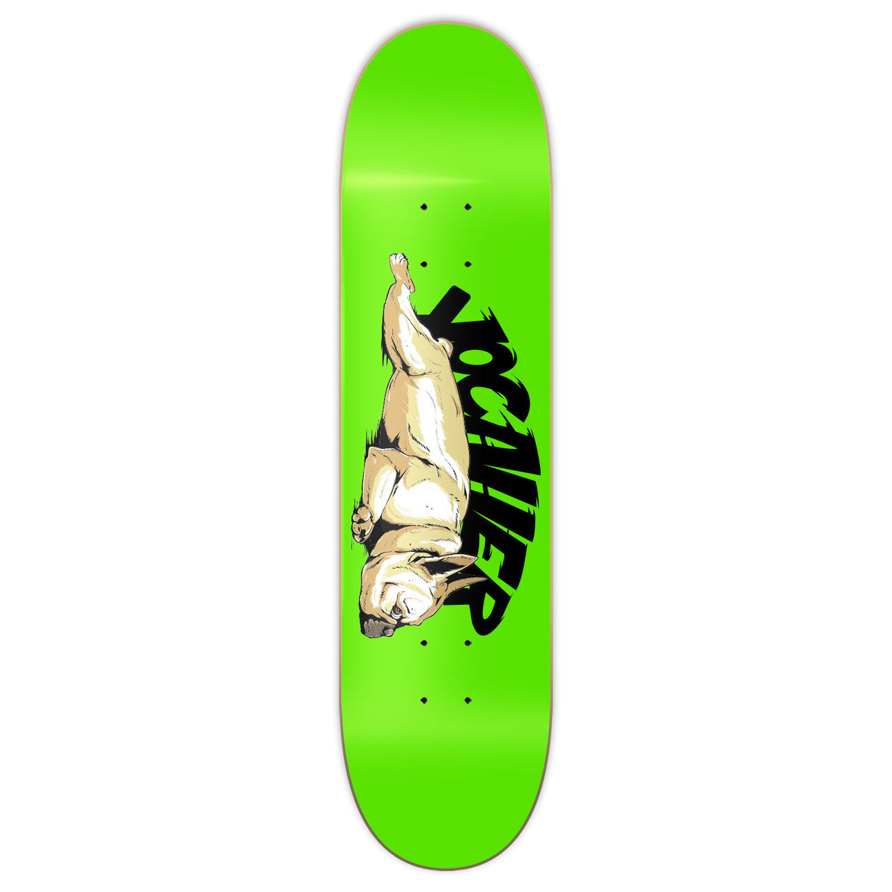 Yocaher Graphic Skateboard Deck  - Lazy French Bulldog